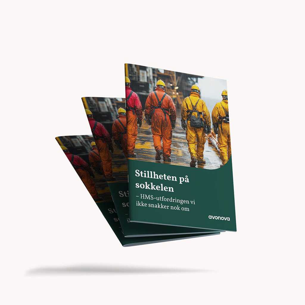 E-bok stillheten på sokkelen. Bilde av forside